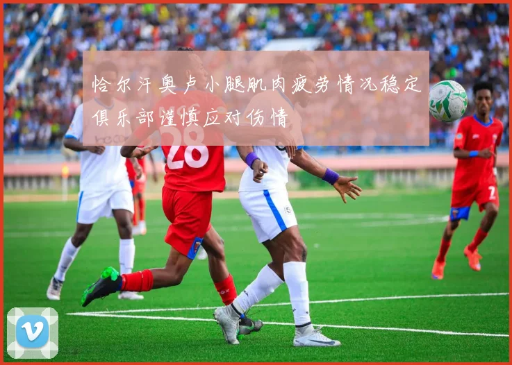 恰尔汗奥卢小腿肌肉疲劳情况稳定俱乐部谨慎应对伤情